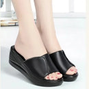 Sandália ferracin Ortopédica- Conforto que Seus pés Merecem