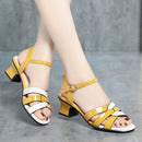 Sandália Antonelle Ortopédica / Elegância e Conforto que Seus pés merecem